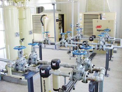 客戶見證 客戶見證